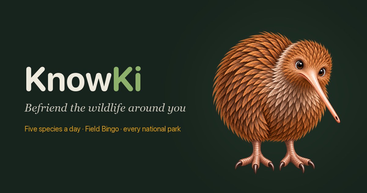 Duolingo, but for nature. Learn your wild neighbors with KnowKi